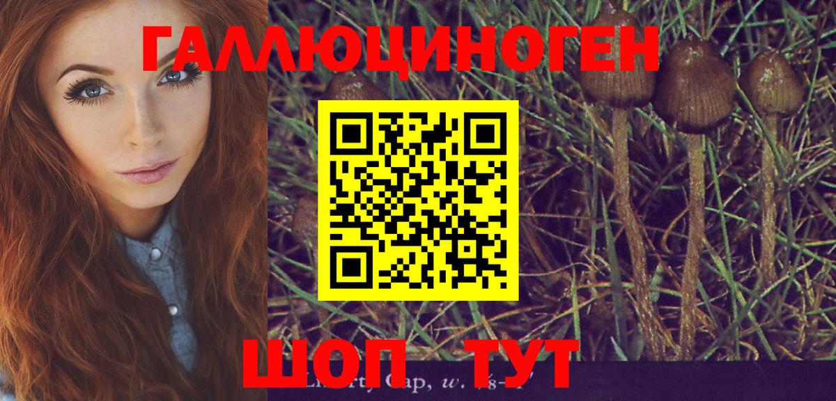 Псилоцибиновые грибы мухоморы Тимашёвск