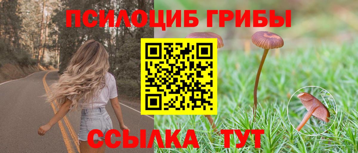 Тимашёвск  Псилоцибиновые грибы Cubensis  Вход с VPN 